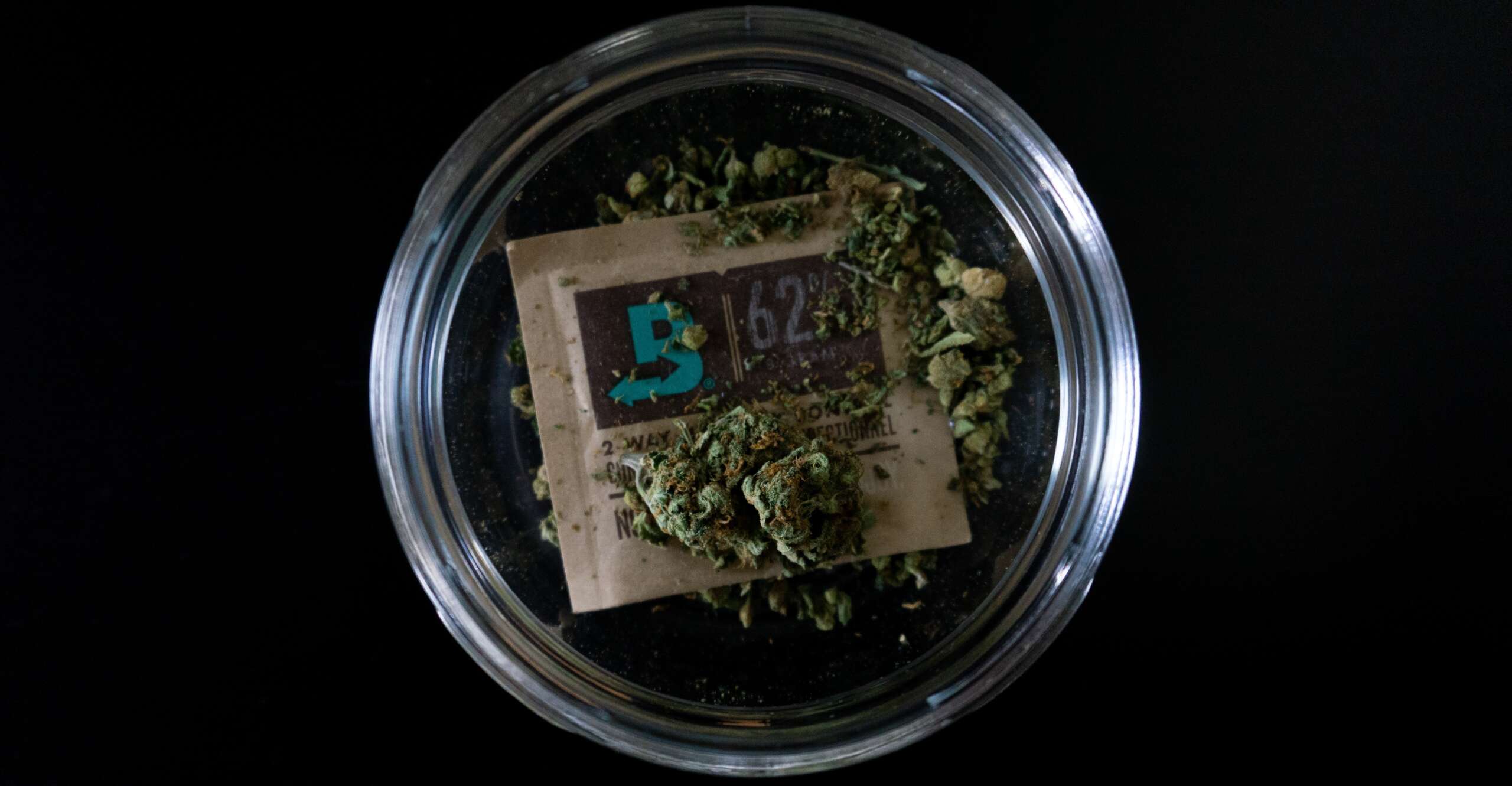 cannabis-6274158